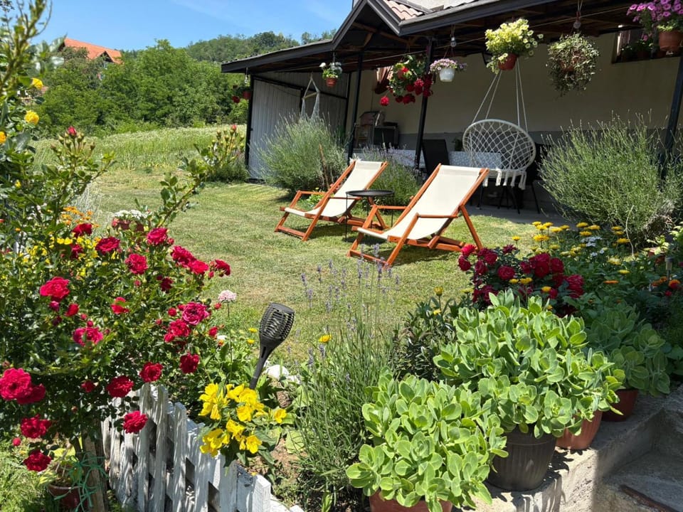 Patio, Spring, Day, Garden, Mountain view, sunbed