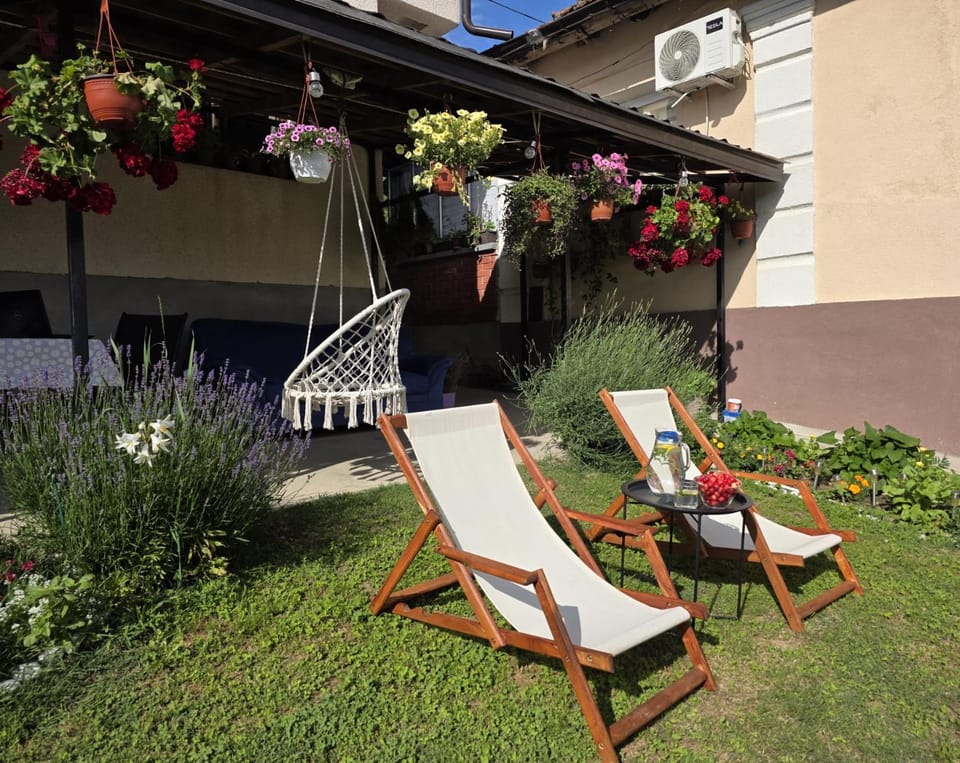 Patio, Day, Summer, Garden, Garden view, sunbed