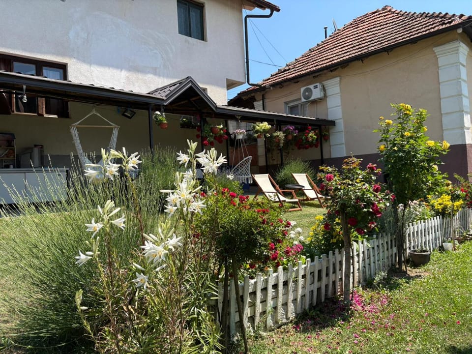 Day, Garden, Garden view