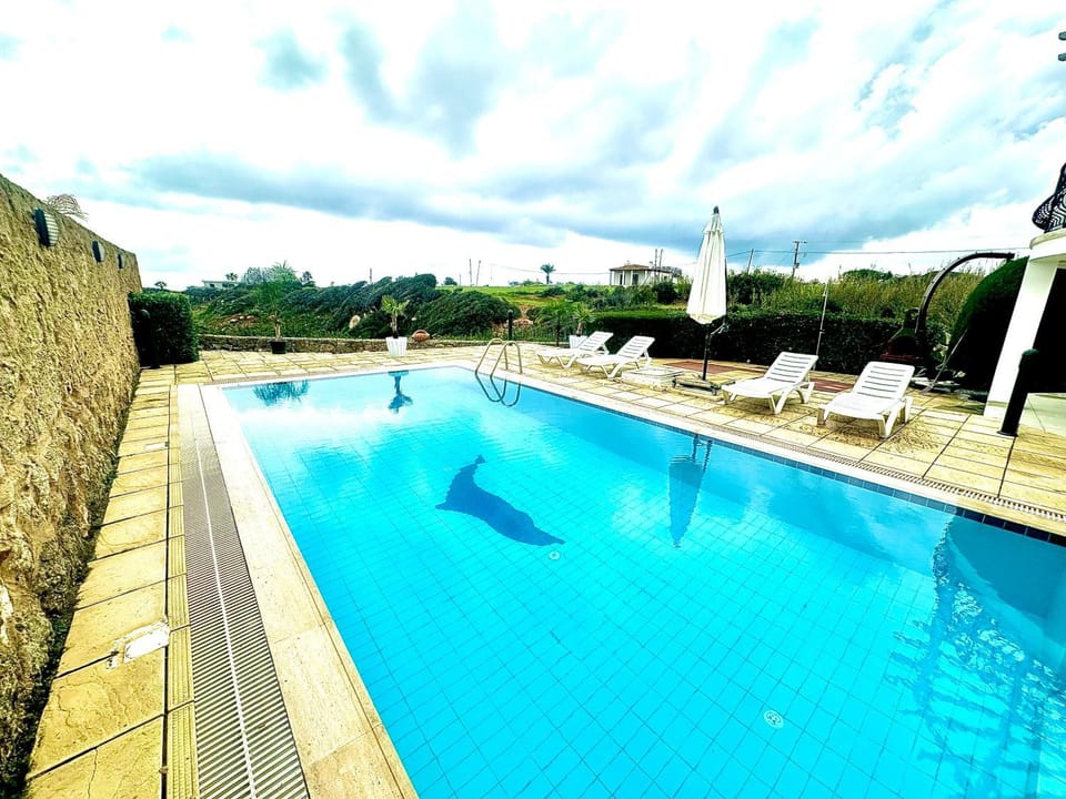 Day, Pool view, Swimming pool, sunbed