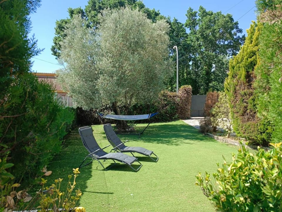 Natural landscape, Garden, sunbed