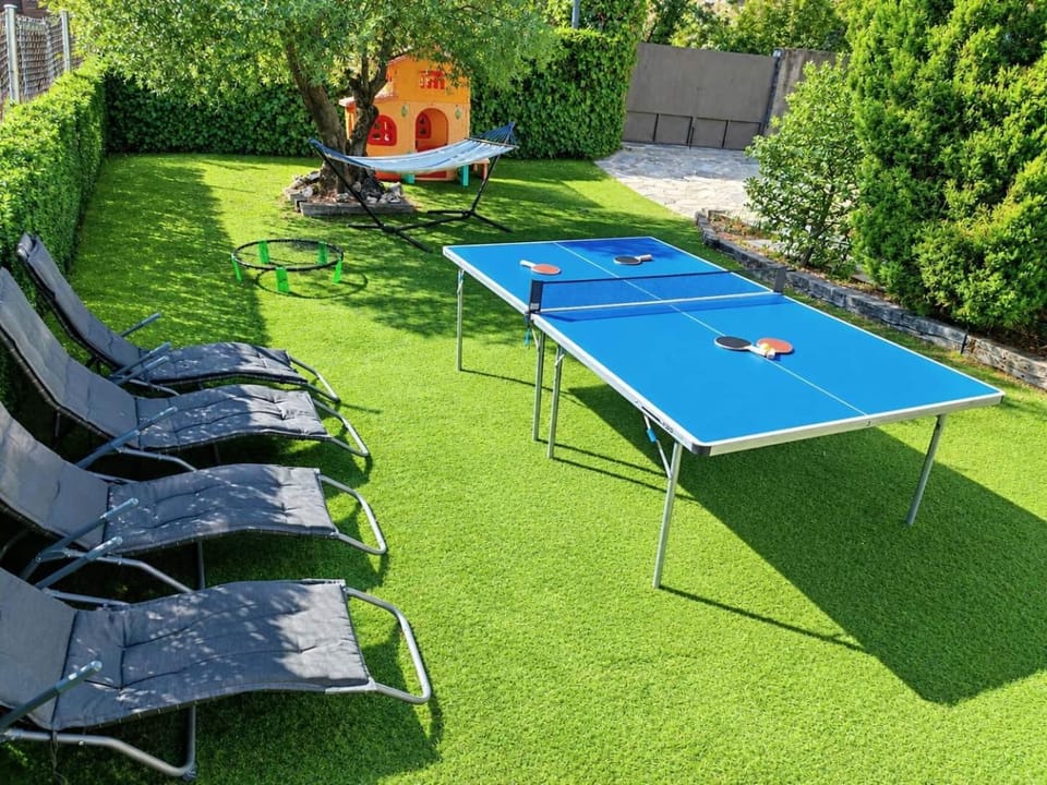 Table tennis, Garden view, sunbed