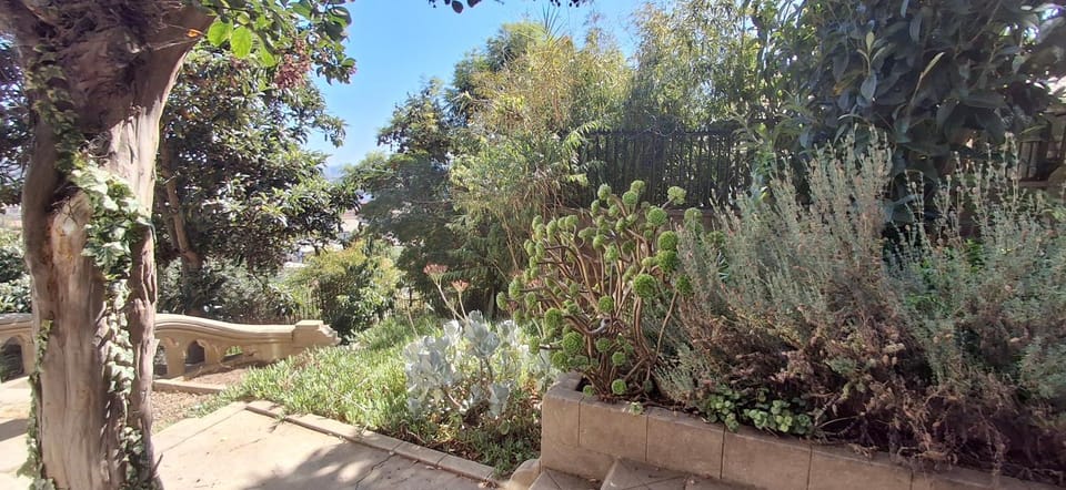 Garden, Garden view