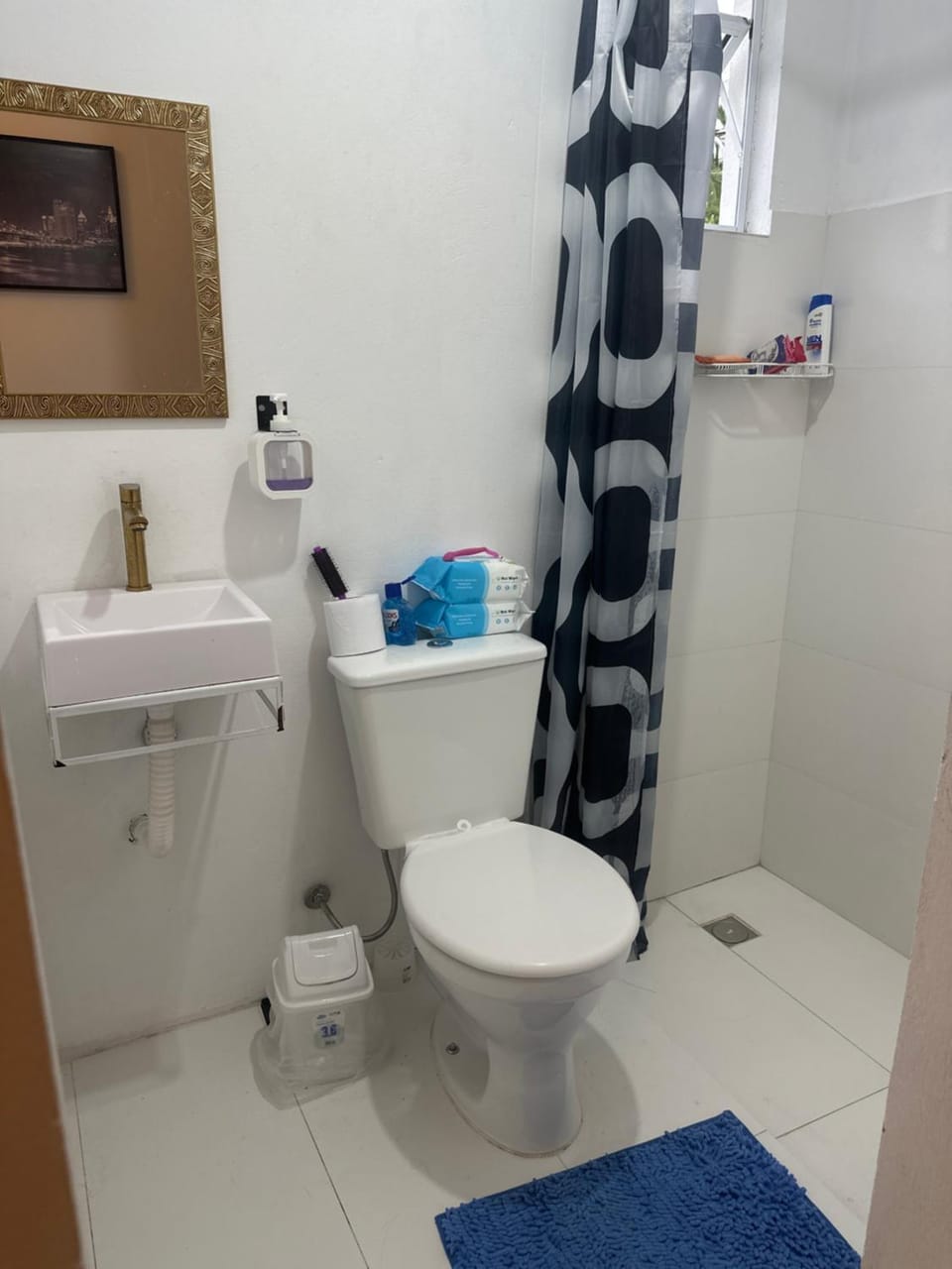 Centro Histórico Hostel Boutique próximo à Rua das Palmeiras Hostel in Blumenau
