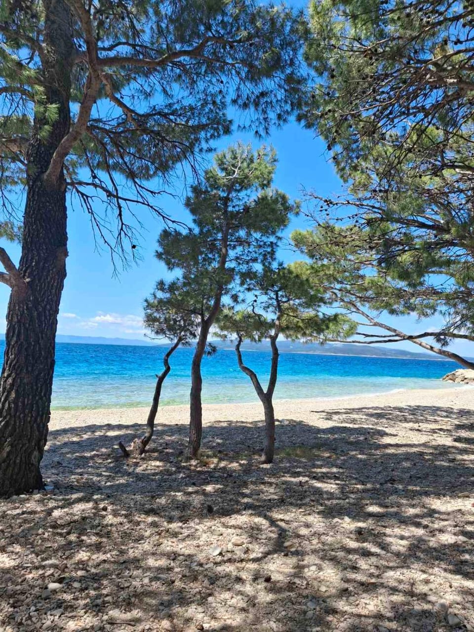 Sunny Place Apartment With Pool Apartment in Makarska