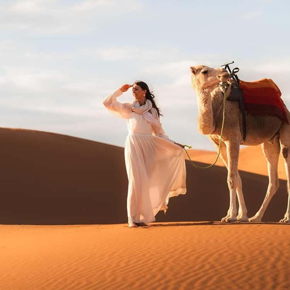 Day, People, Natural landscape, Horse-riding, Animals, group of guests