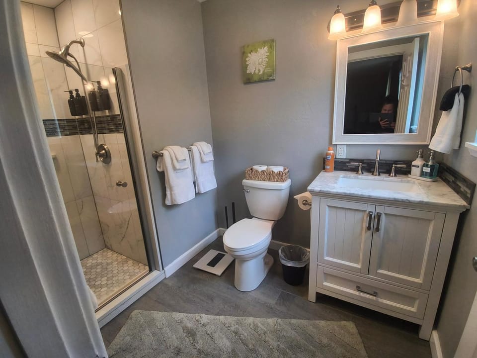Shower, Bathroom, Photo of the whole room, towels