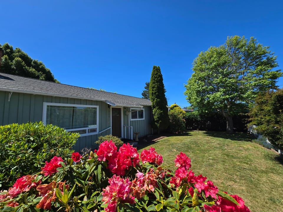 Property building, Facade/entrance, Garden, Garden view