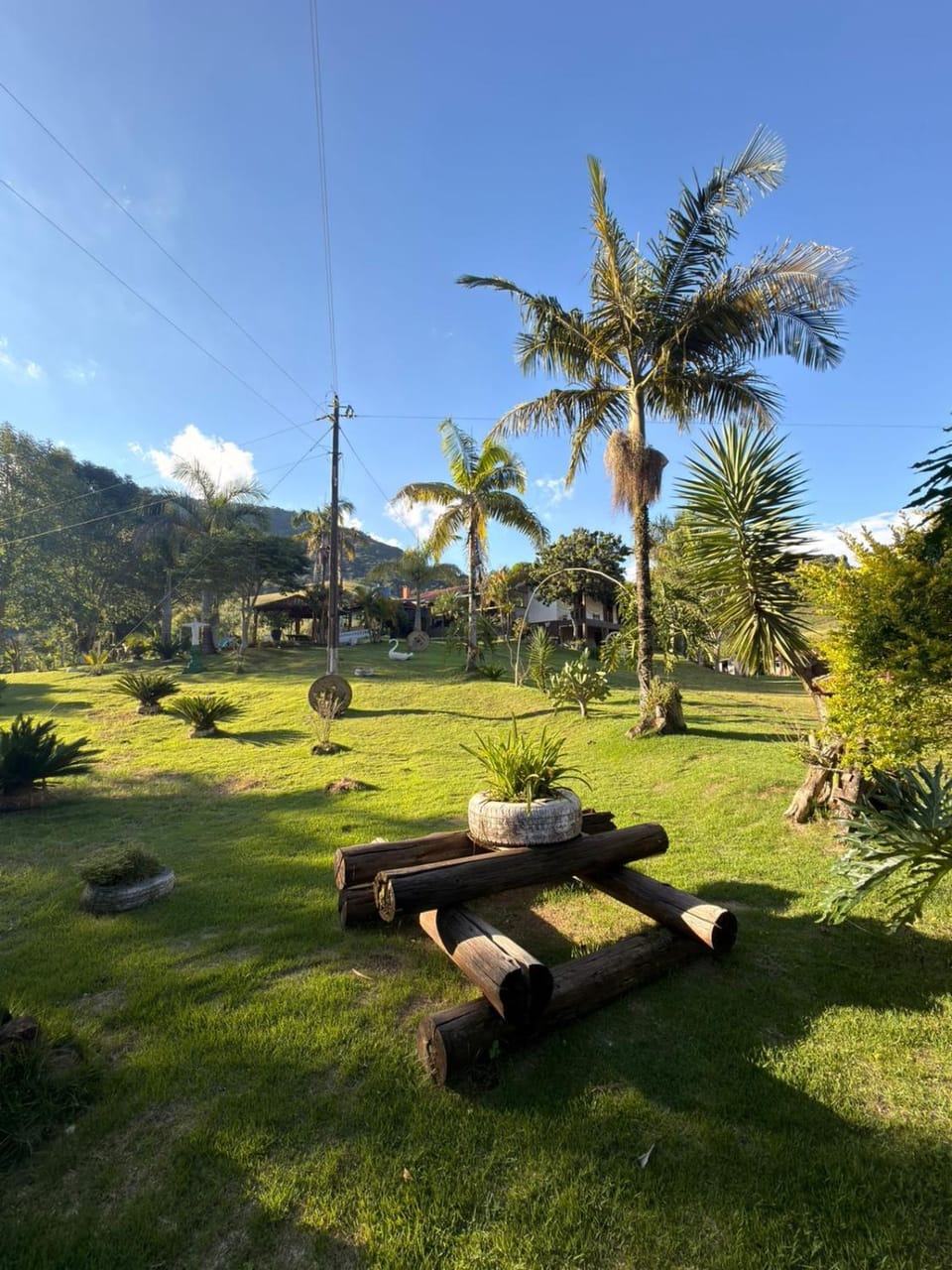 Garden view