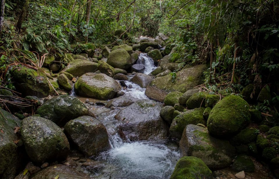 Camping La Lupita Campground/ 
RV Resort in Antioquia