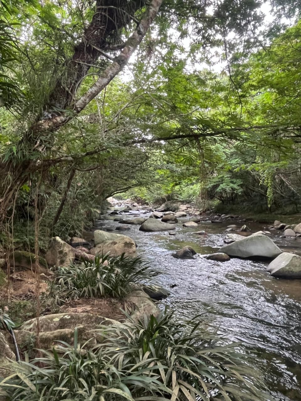 Cabaña RioRefugio Campground/ 
RV Resort in Antioquia