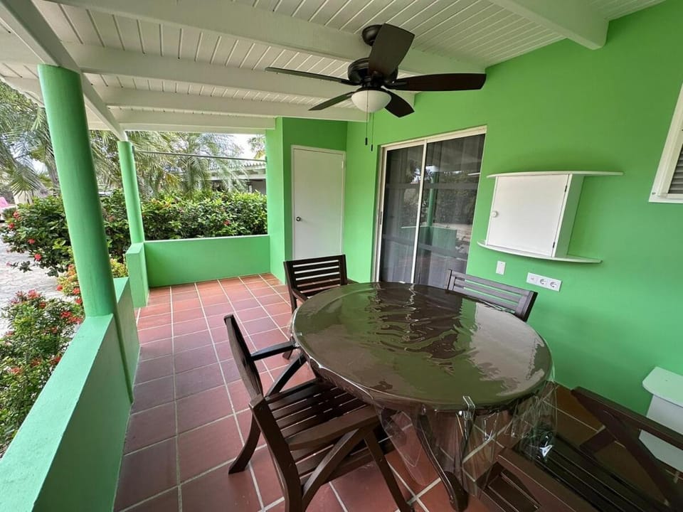 Green Sea Turtle Modern Stay by the Sea Apartment in Venezuela