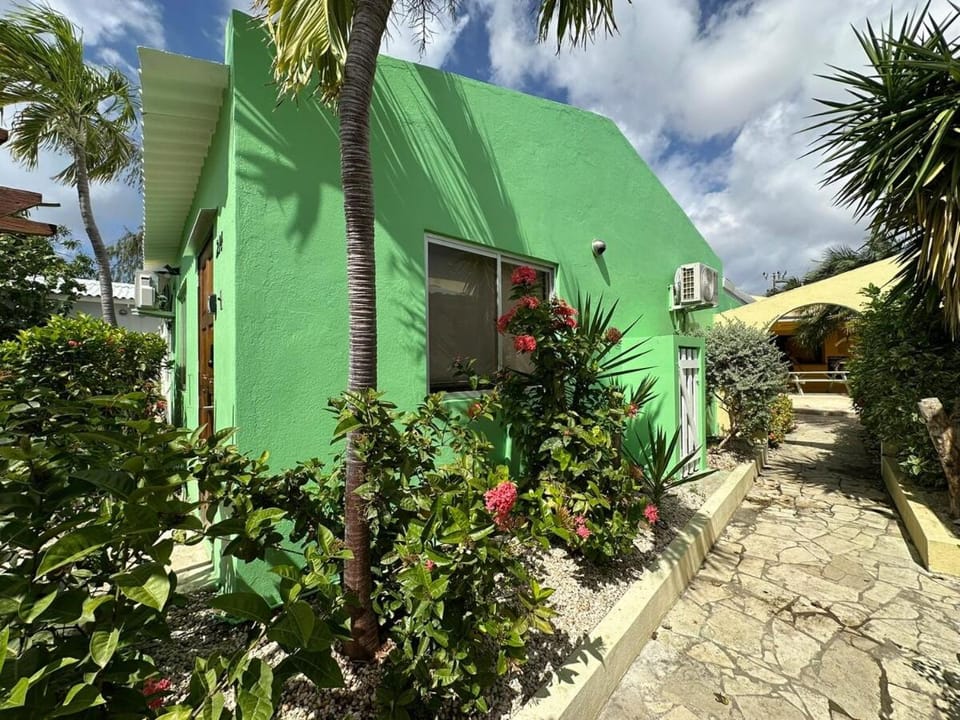Green Sea Turtle Modern Stay by the Sea Apartment in Venezuela