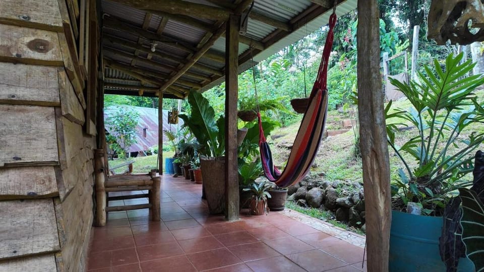Finca Secreto Sur A Hidden Paradise in the Jungle House in San José Province