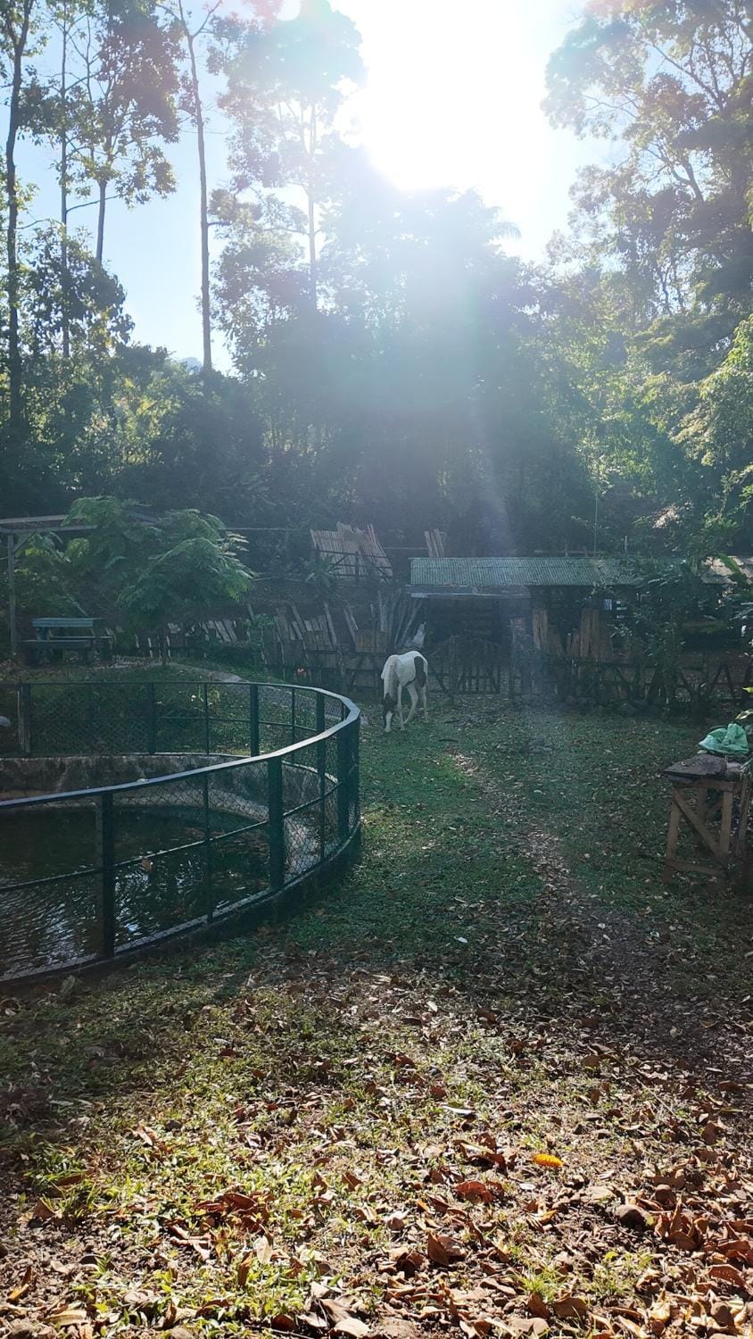 Finca Secreto Sur A Hidden Paradise in the Jungle House in San José Province