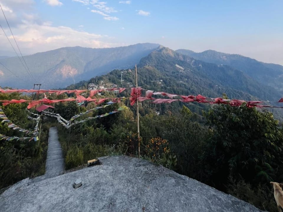 Mountain view