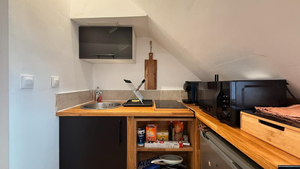 Studio le Saumaise Apartment in Dijon