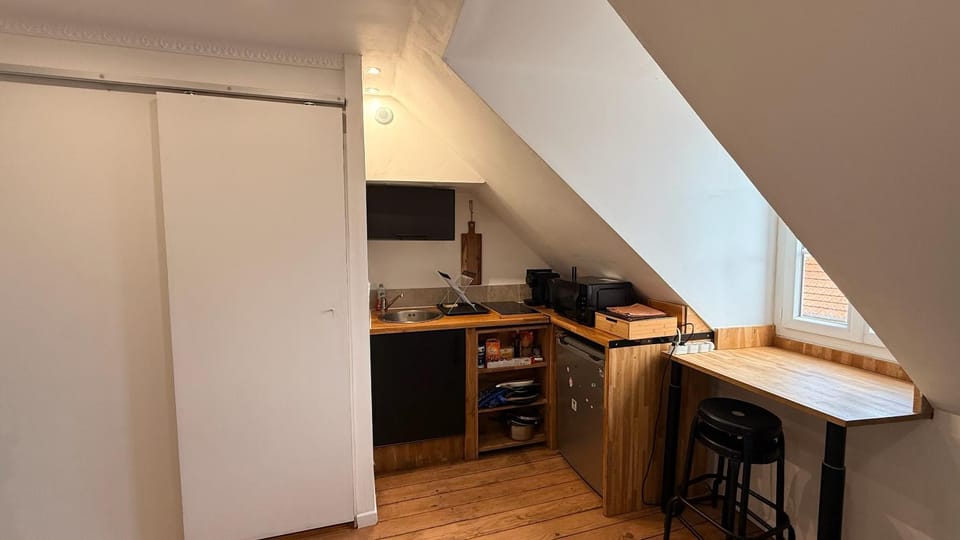 Studio le Saumaise Apartment in Dijon