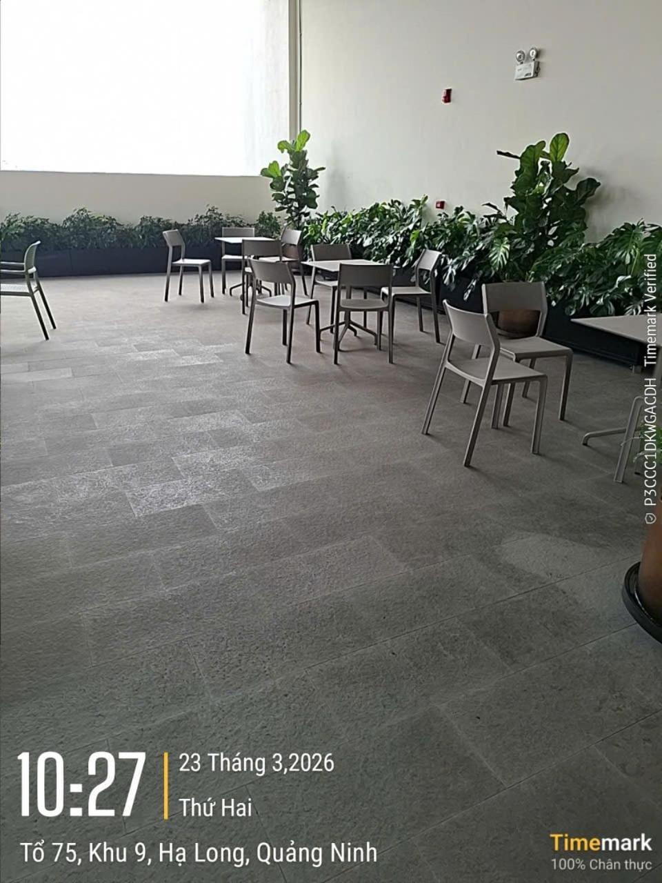 Garden, Balcony/Terrace