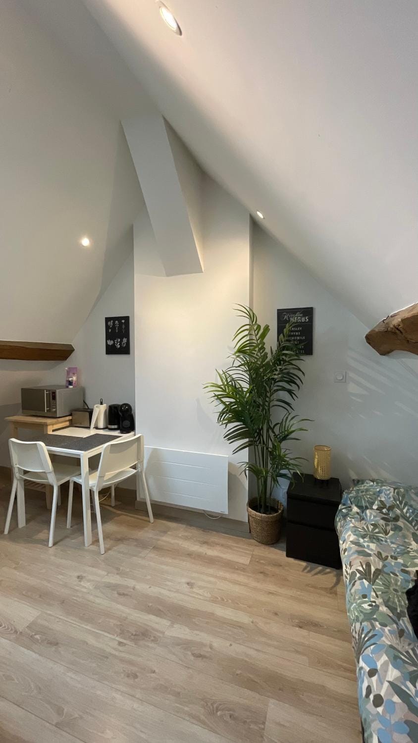 Studio calme Wilson Apartment in Dijon
