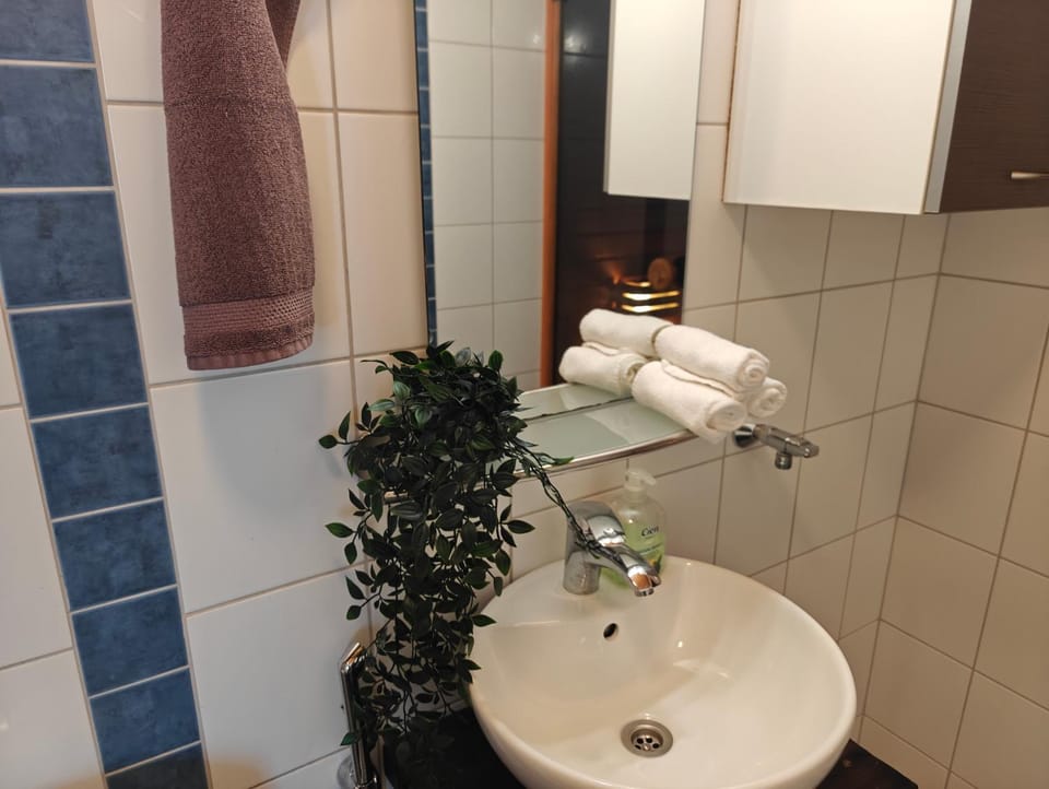 Bathroom, towels
