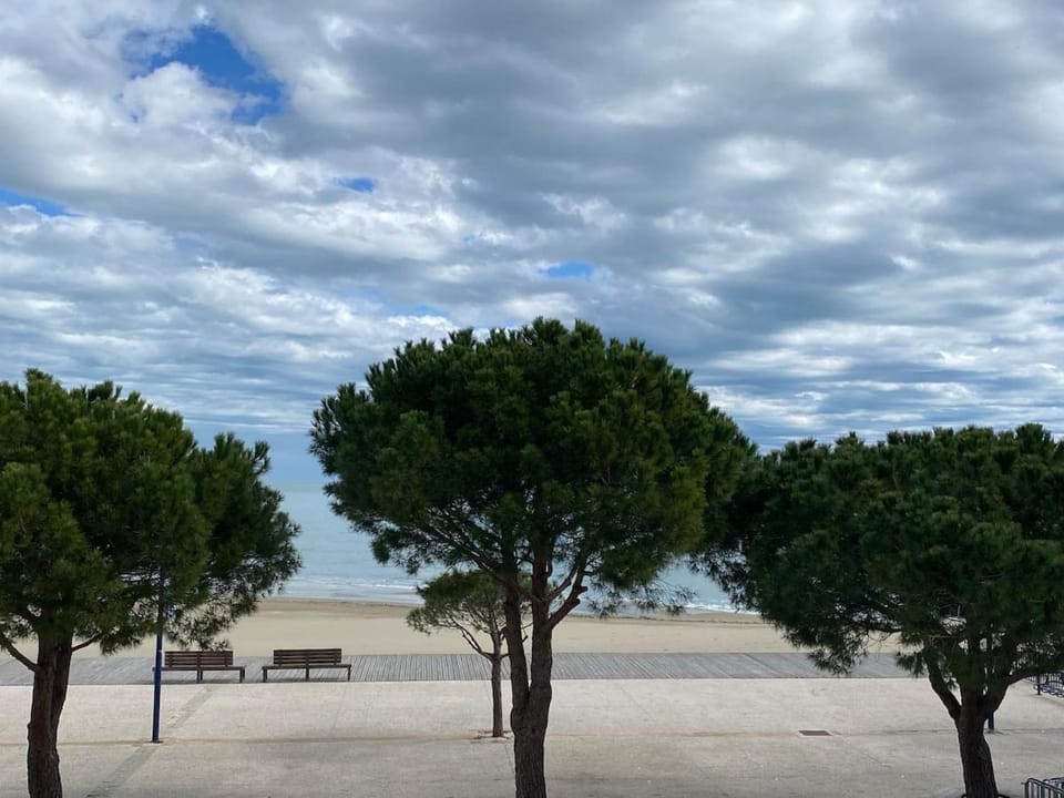 Leucate Apartment Apartment in Leucate