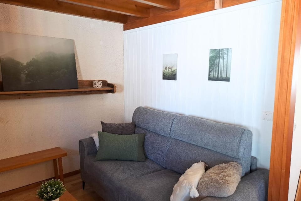 Ski-in Mountain View & Comfort for 6 guests Apartment in Le Grand-Bornand