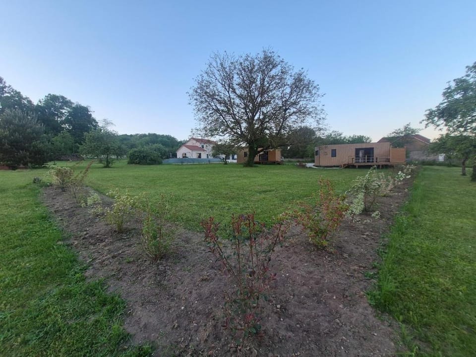 TREE LODGY - LE CHARME - Nouveau espace bien être disponible House in Bourgogne-Franche-Comté