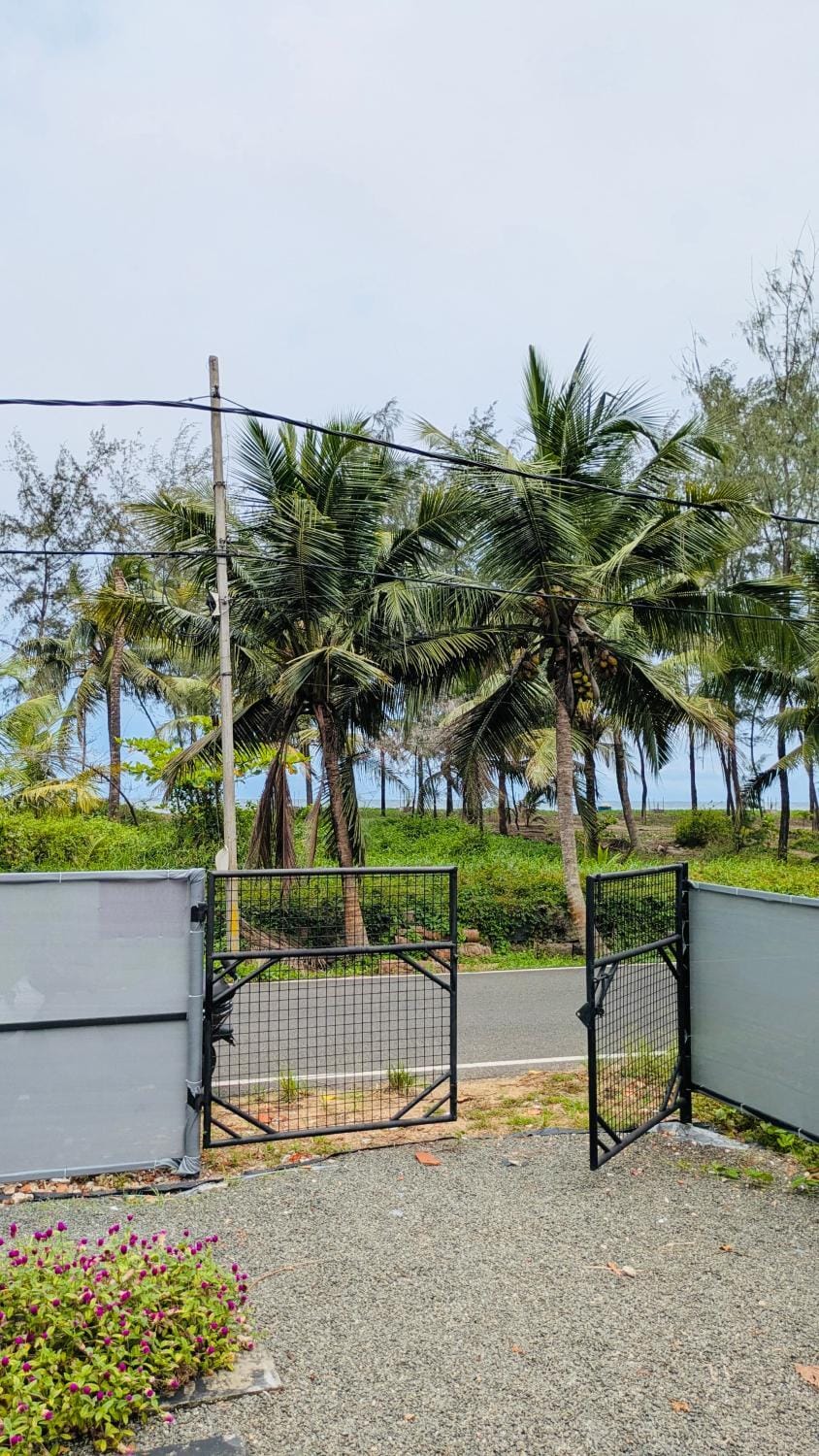 Garden view