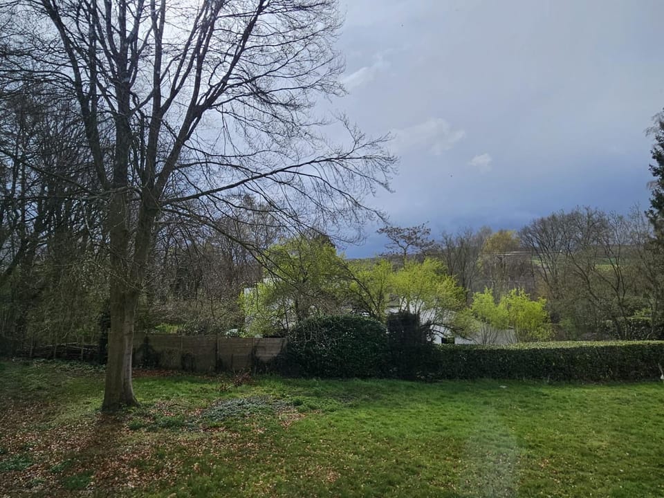 Spring, Day, Natural landscape, Garden, Garden view