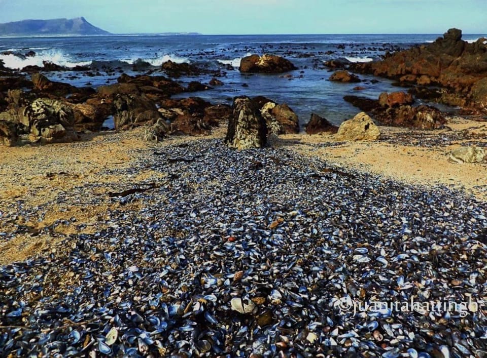 Allen's Halal Coastal Cottage House in Cape Town