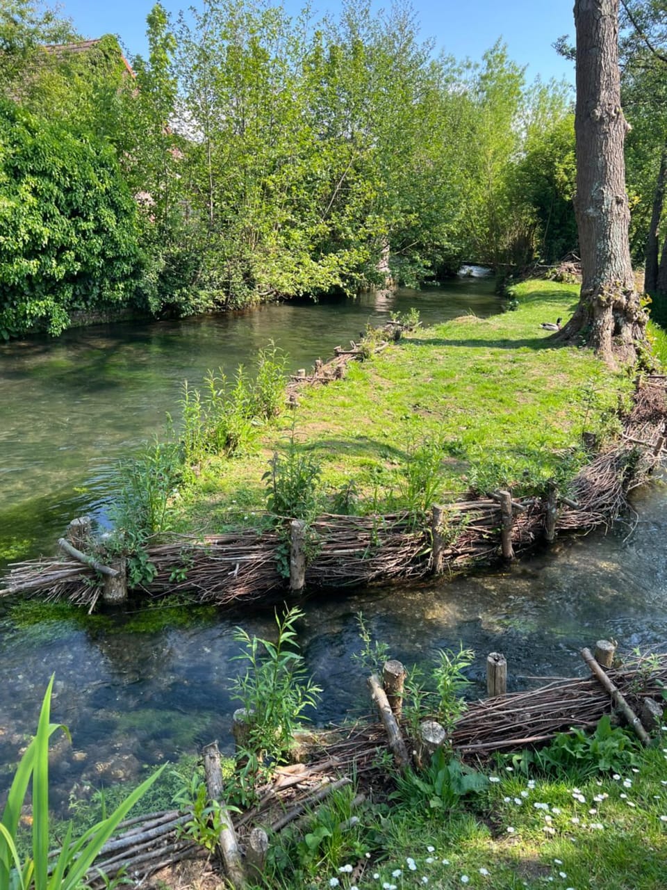 River view