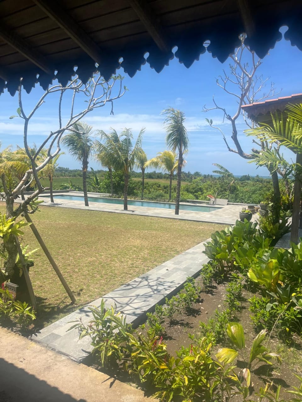 View (from property/room)