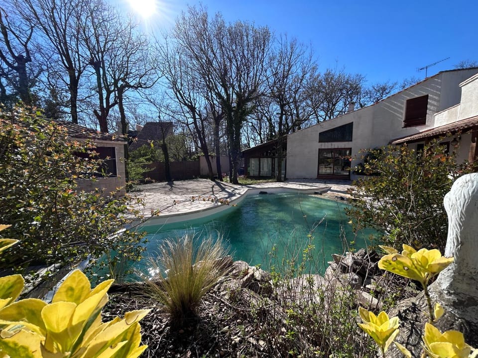 Spring, Garden, Garden view, Pool view, Swimming pool, sunbed