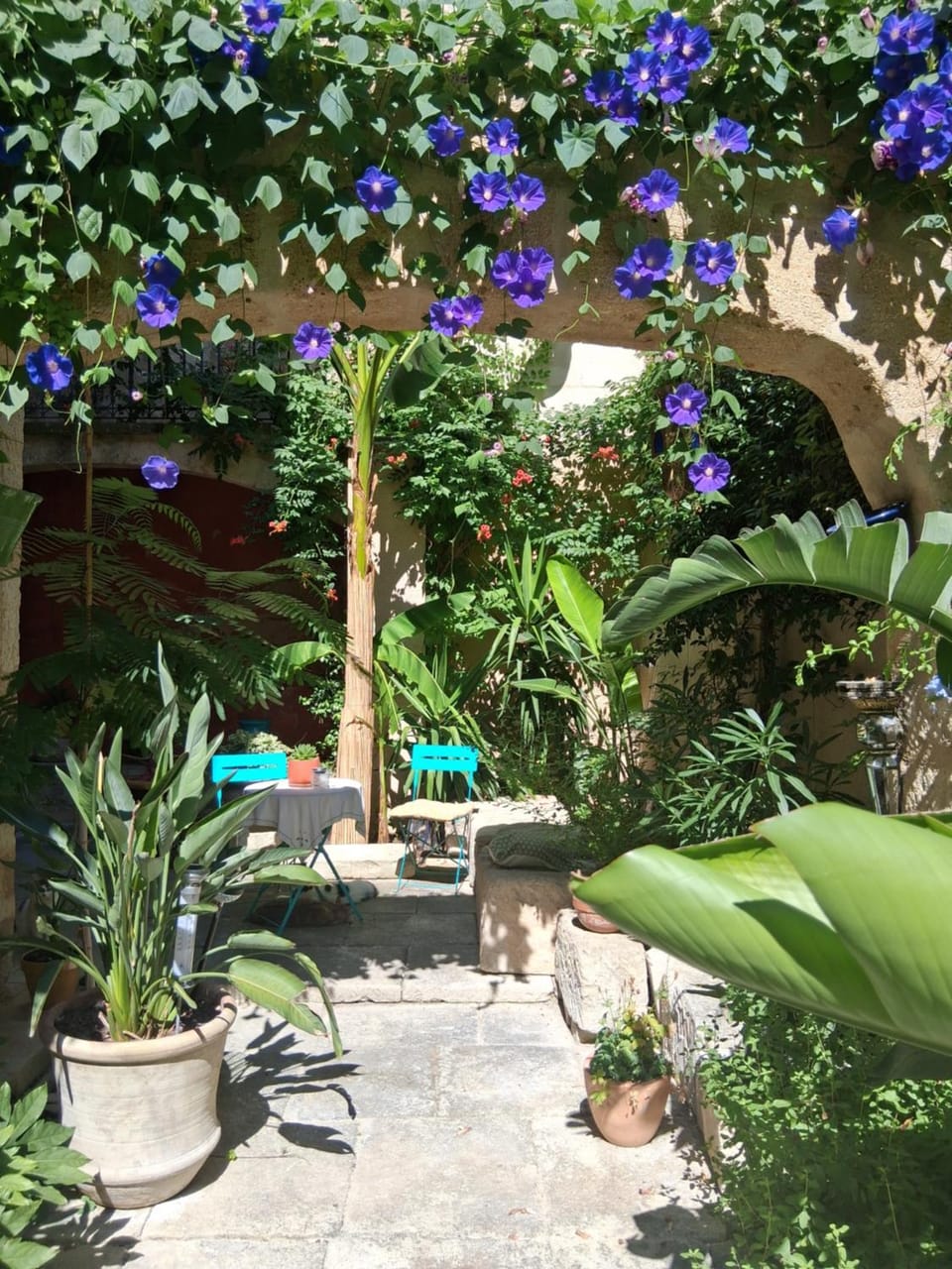 Chambre d'hôte Maison Magda Bed and Breakfast in Tarascon