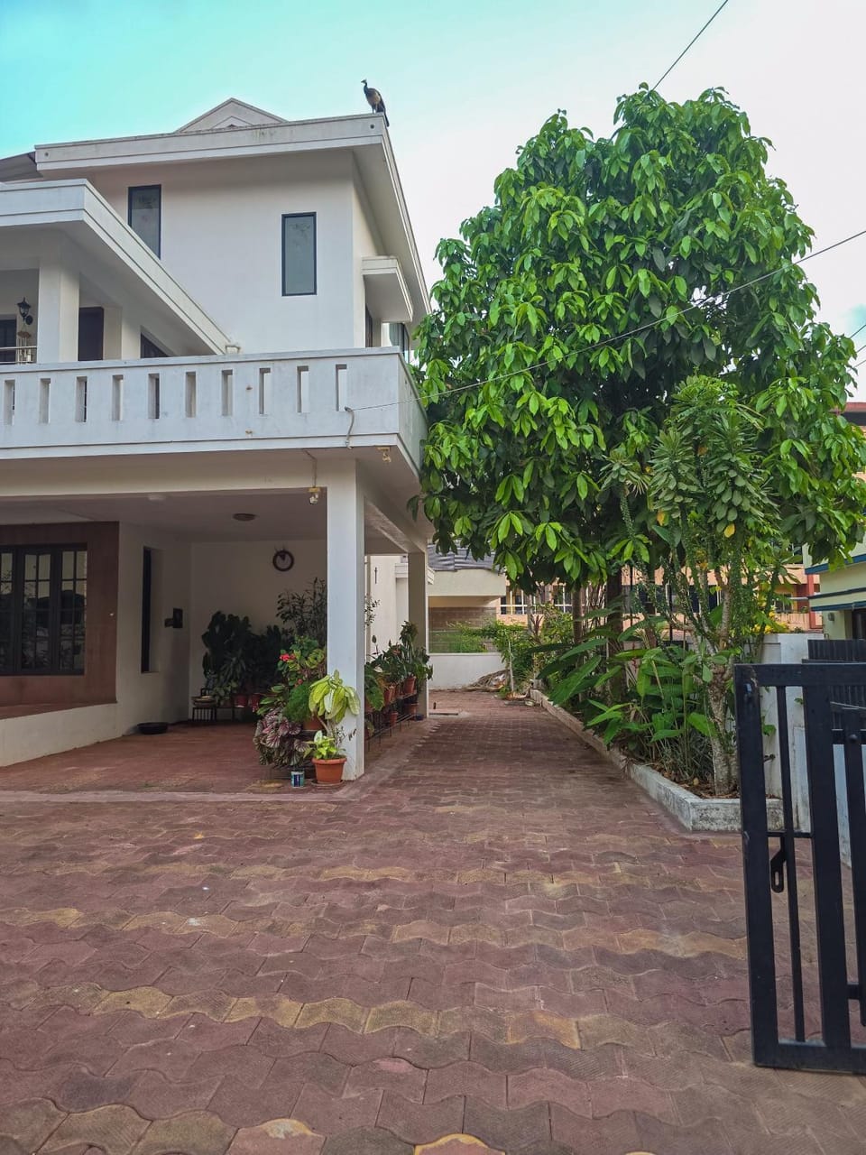 Property building, Parking