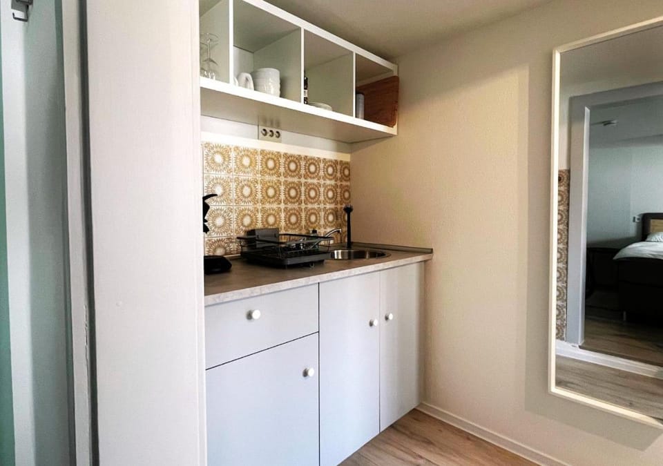 Kitchen or kitchenette, kitchen