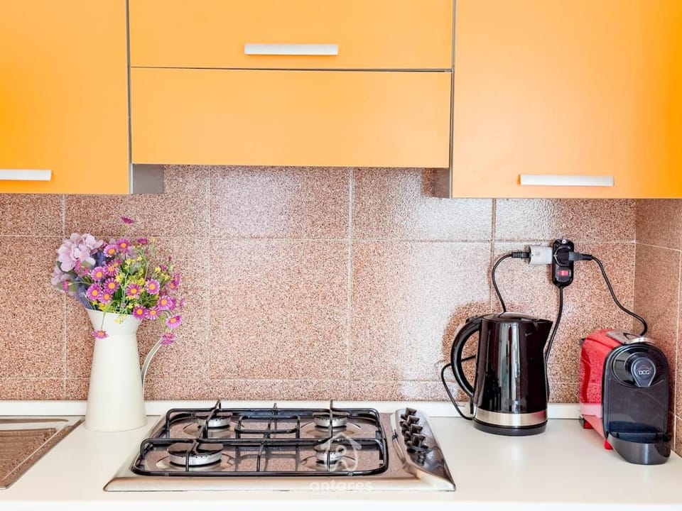 Coffee/tea facilities, stove, kitchen