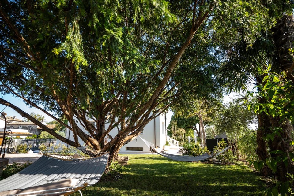 Natural landscape, Garden, Garden view