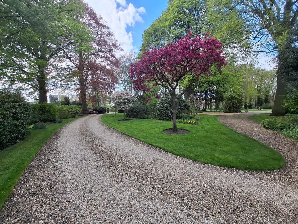 Spring, Natural landscape, Garden, Parking
