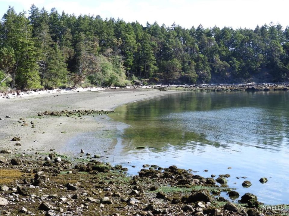 Mayne Cottage Bed and Breakfast in Mayne Island