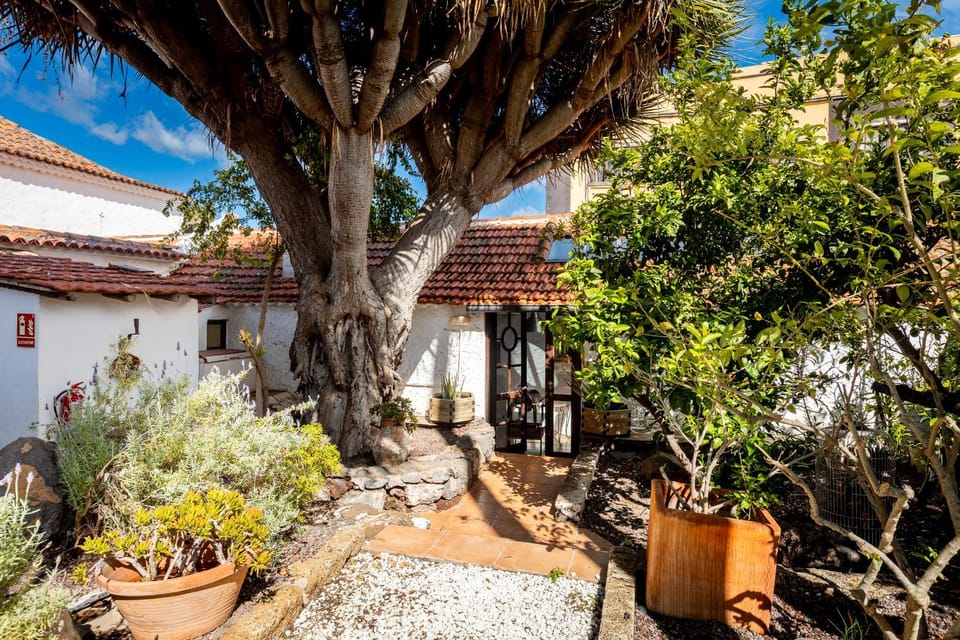 Property building, Garden