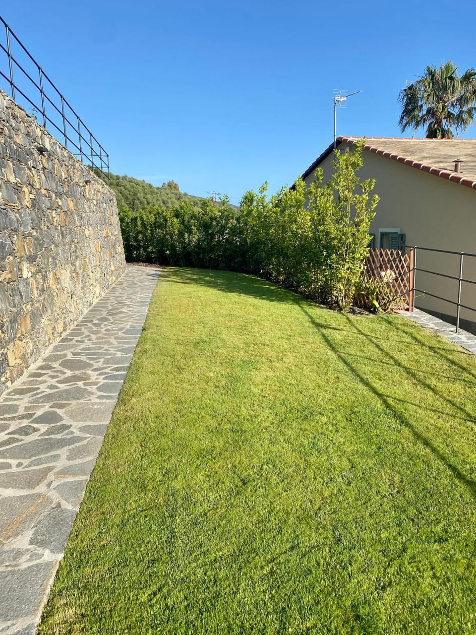 Garden view