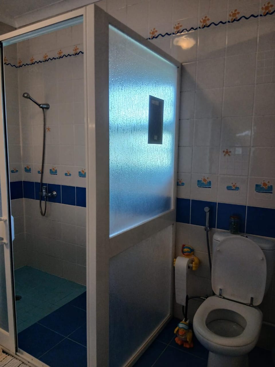 Shower, Toilet, Bathroom, hair dryier