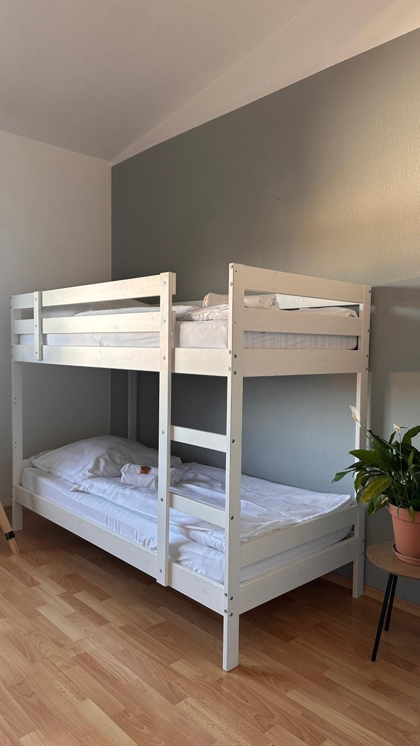 Bed, Photo of the whole room, Bedroom, bunk bed
