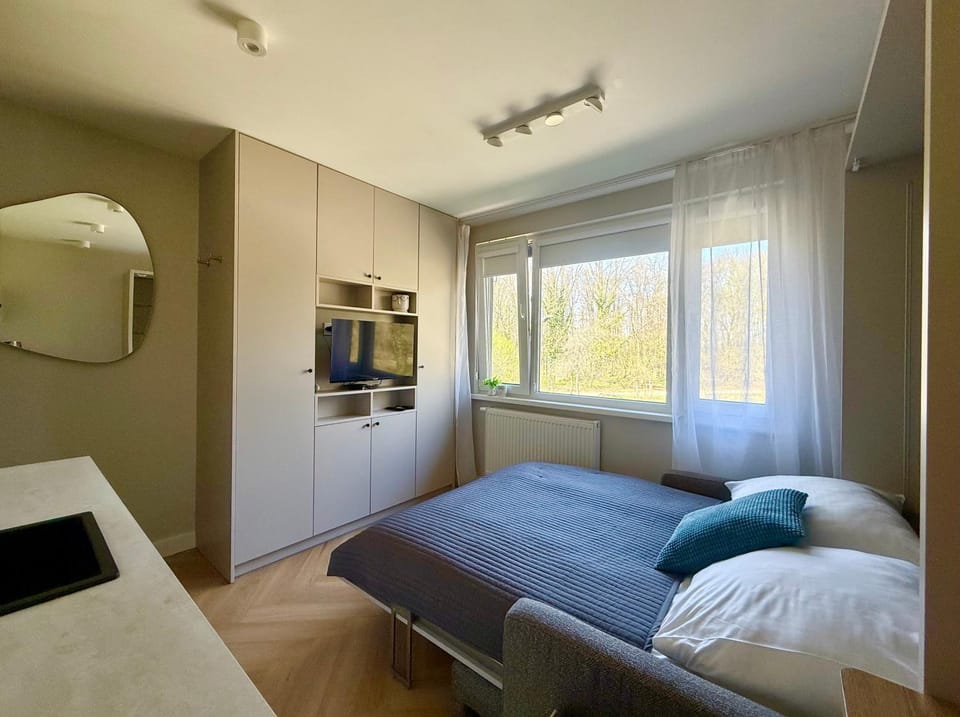 Bed, TV and multimedia, View (from property/room), Other
