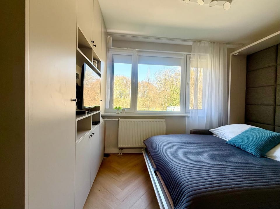 Bed, TV and multimedia, View (from property/room), Living room