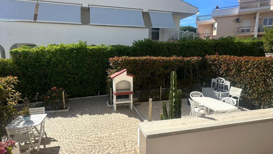 Patio, Garden, Garden view