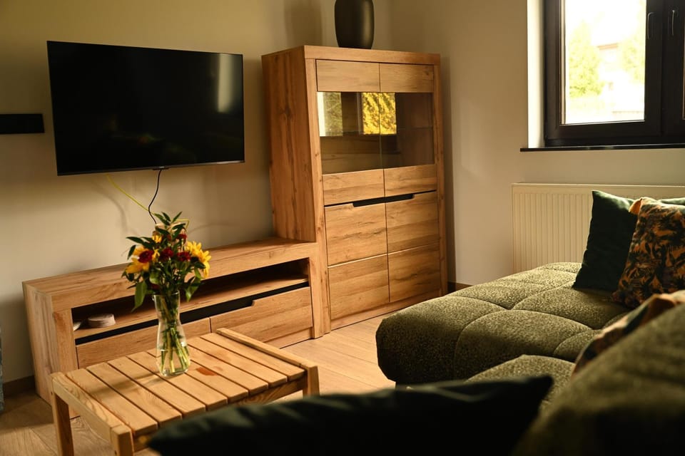 Communal lounge/ TV room, TV and multimedia