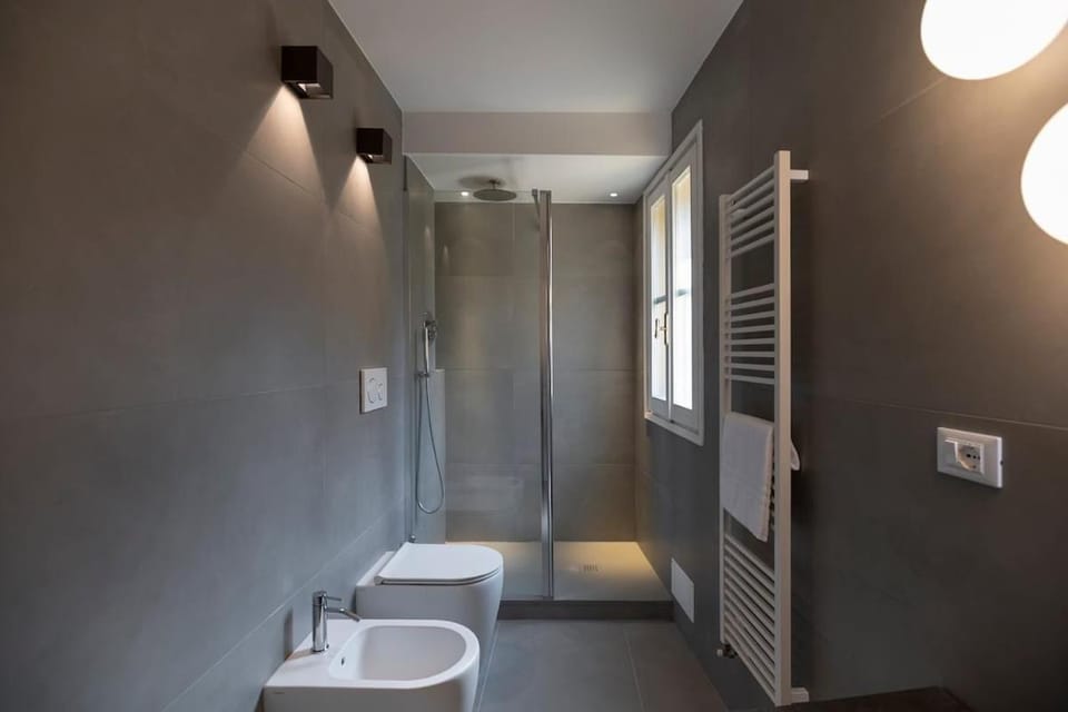 Shower, Toilet, Bathroom, bidet